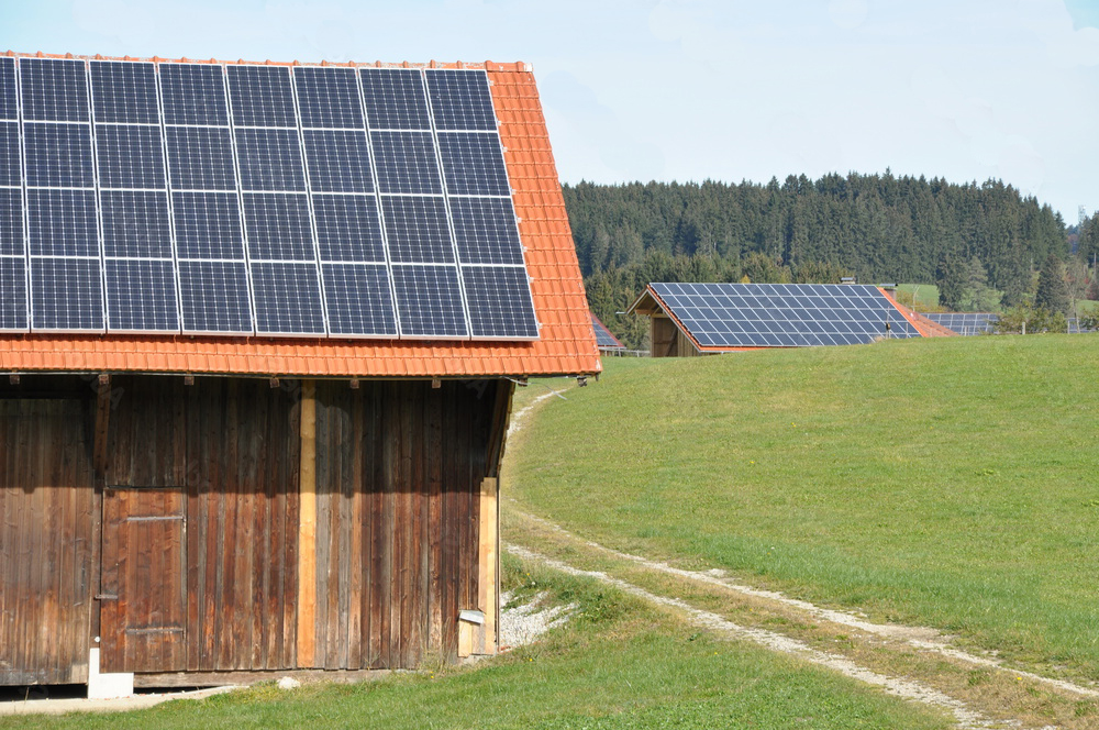Landwirtschft